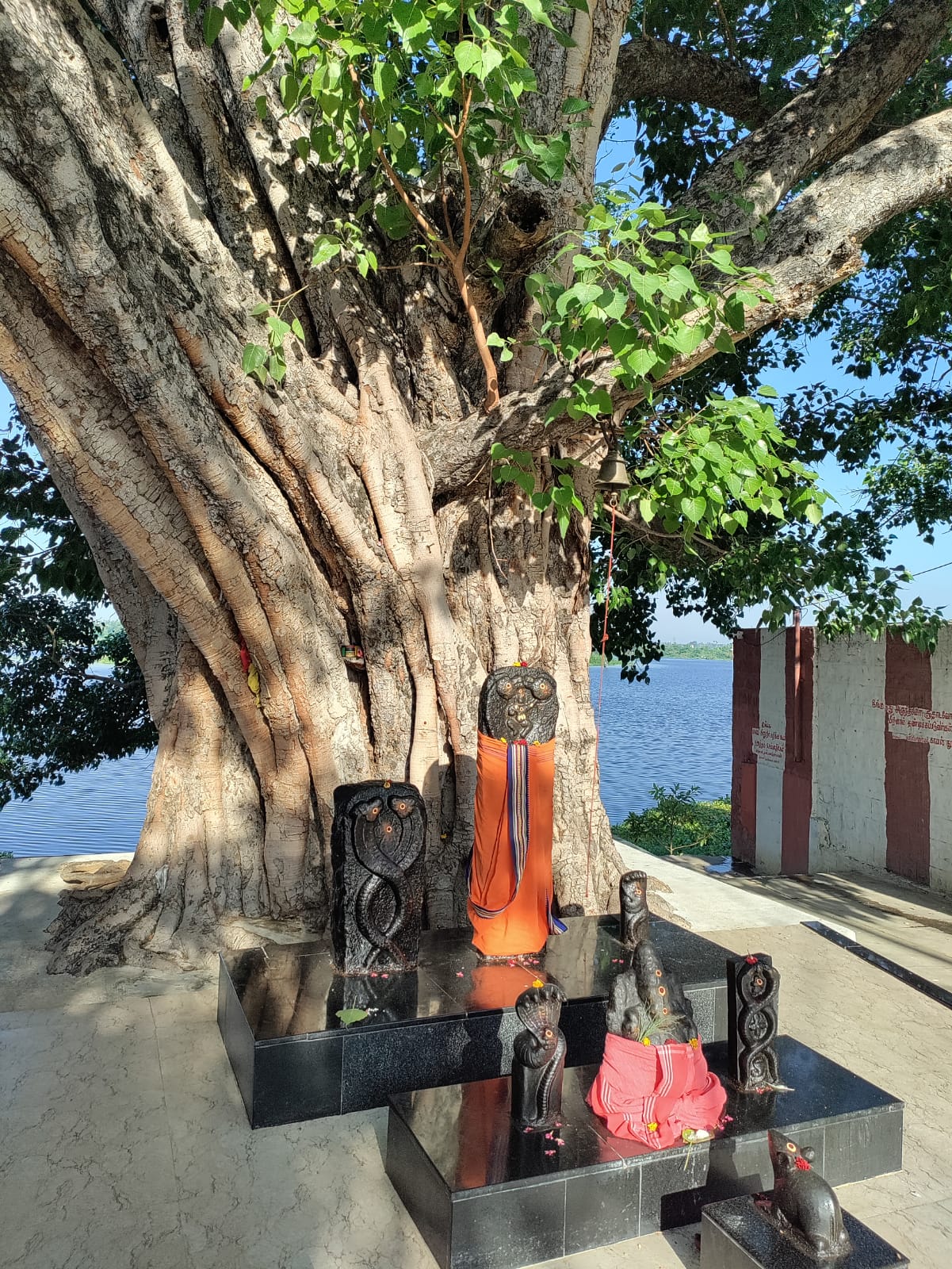 Naga Sannidhi under the Tree
